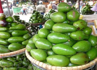 How to Select Good Avocados