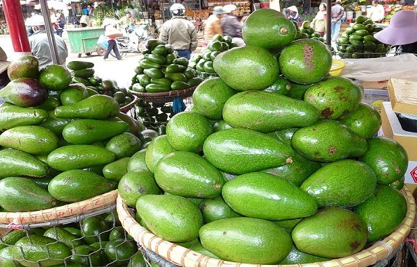 How to Select Good Avocados