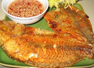 8 Essential Fish Processing Tips You Need to Know