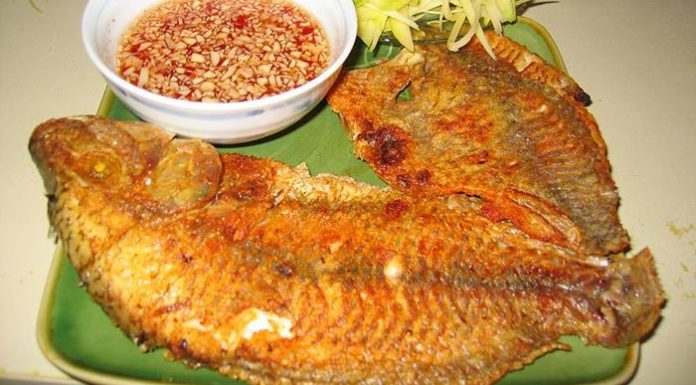 8 Essential Fish Processing Tips You Need to Know