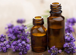 Zika Virus Prevention: 8 Proven Strategies for Eliminating Mosquitoes