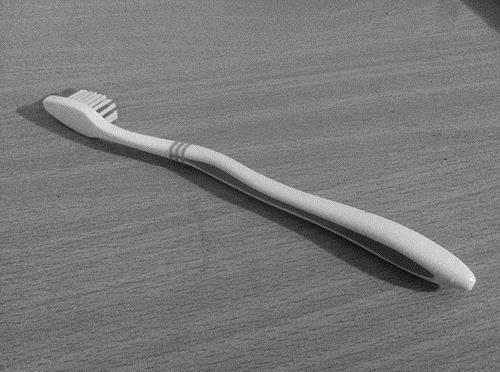 When Should You Replace Your Toothbrush?