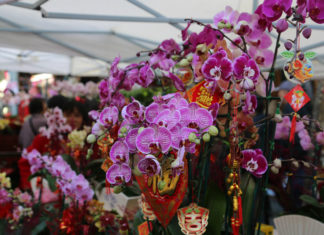 “How to Keep Fresh Flowers Arranged for Up to 3 Days Without Overwatering”