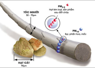 Harmful Effects of PM2.5 Fine Dust and How to Prevent It