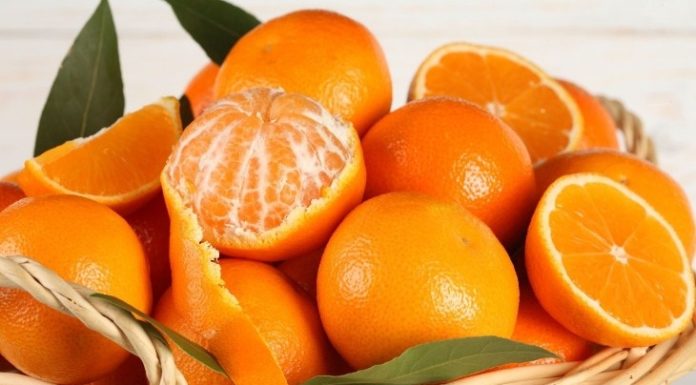 Uncovering 10 Astonishing Methods to Neutralize Refrigerator Odors