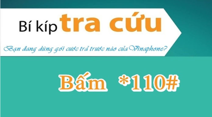 Use the Vinaphone App to Check Services and Packages Quickly