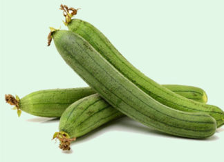 Selecting the Right Melon: Straight or Curved?