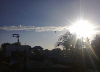 10 Tips for Taking Stunning Photos with Mobile Phones