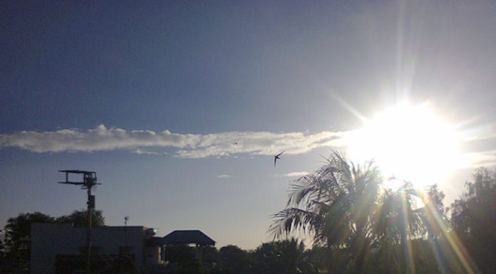 10 Tips for Taking Stunning Photos with Mobile Phones