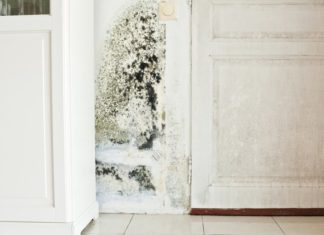 How to Effectively Prevent Mold in Your Home