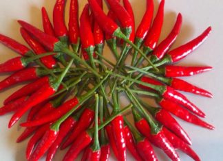 How to Keep Spices Fresh in the Kitchen