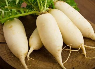 More Useful Advice for Homemakers (Part 2)