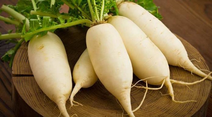 More Useful Advice for Homemakers (Part 2)