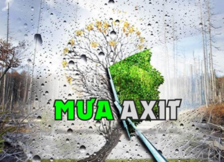 The Dangers of Acid Rain: Understand its Effects on Your Life