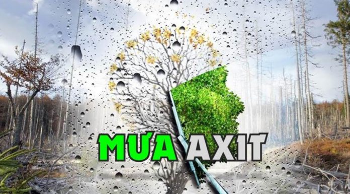 The Dangers of Acid Rain: Understand its Effects on Your Life