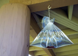 11 Quick and Easy Strategies to Get Rid of Flies This Summer