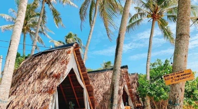 Thousands of Photos Captured of Ly Son Homestay with its “Extremely Good” View