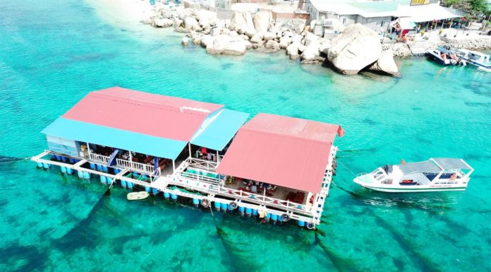 Experience an “Excellent” View and Price at Top Homestay Binh Ba – Live a Virtual Life!