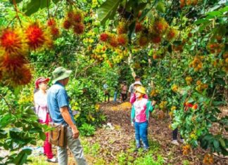 “Exploring the Scenic Beauty of Dong Nai For a Rejuvenating Weekend Getaway”