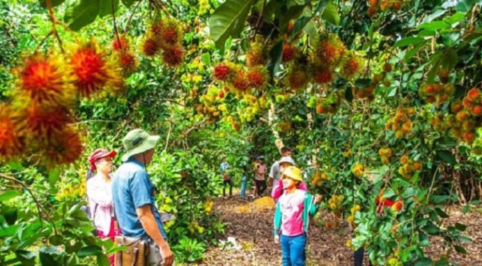 “Exploring the Scenic Beauty of Dong Nai For a Rejuvenating Weekend Getaway”