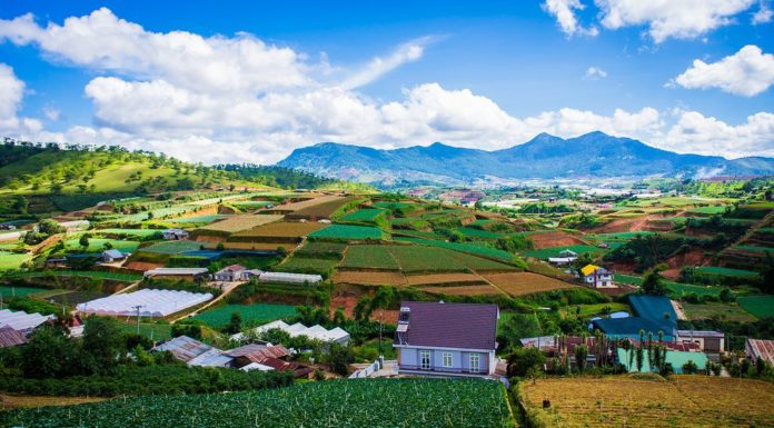 The Alluring Charm of Da Lat, Lam Dong: A Haven of Peace and Cool Air