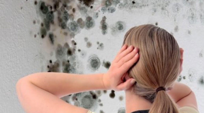 Tips for Avoiding Mold Growth in Your Home