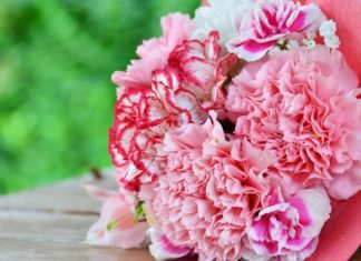 10 Thoughtful Vu Lan Gifts for Special Mothers – Filled with Love and Affection