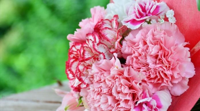 10 Thoughtful Vu Lan Gifts for Special Mothers – Filled with Love and Affection