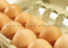 “Maximizing Your Chicken Egg Experience: 8 Fun Tips”