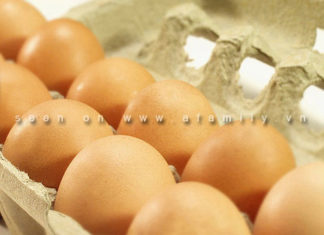 “Maximizing Your Chicken Egg Experience: 8 Fun Tips”