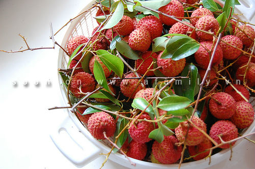 How to Pick the Most Delicious Apricots