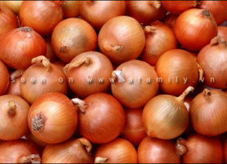 Tips for Storing Onions to Extend Their Life