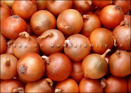 Tips for Storing Onions to Extend Their Life