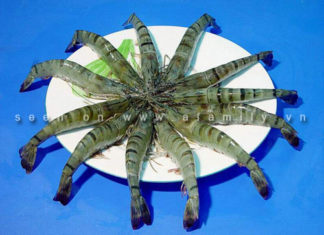 Recipe: Cooking Delicious Shrimp