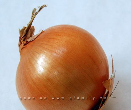 Learning About Potatoes: Essential Information