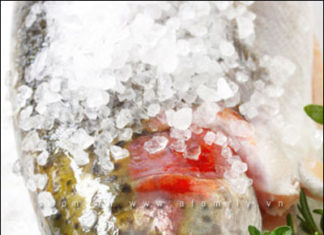 Cooking From Scratch Using Salt