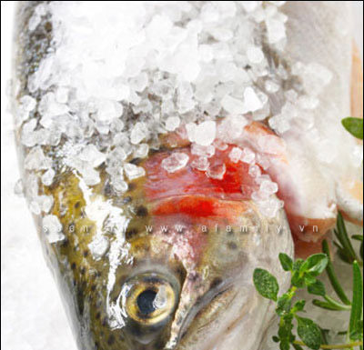 Cooking From Scratch Using Salt