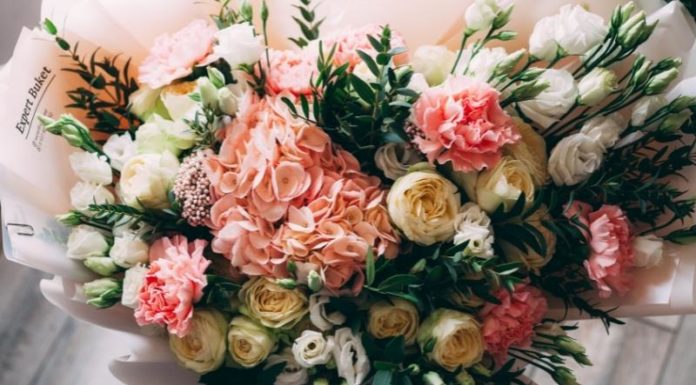 15+ Thoughtful and Special Gifts for Wife or Girlfriend on October 20th