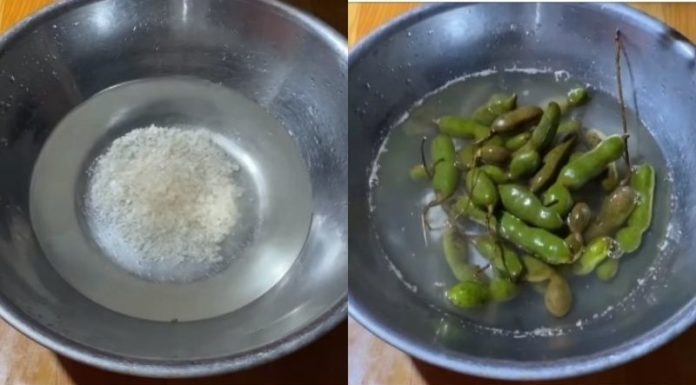 Quickly Peel a Lychee with 2 Simple Steps