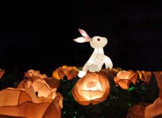 33. Wishing you a Mid-Autumn Festival that is full of emotion and meaningful wishes for employees. Enjoy the festivities and may you be blessed with good fortune.