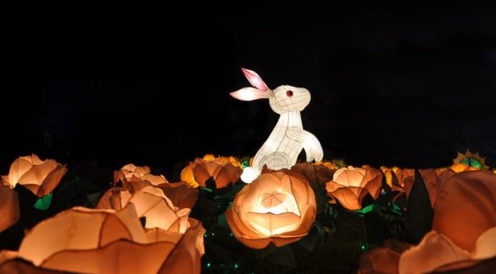 33. Wishing you a Mid-Autumn Festival that is full of emotion and meaningful wishes for employees. Enjoy the festivities and may you be blessed with good fortune.