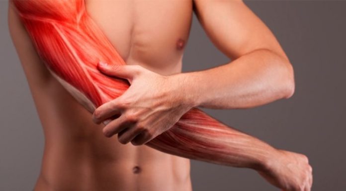 Selecting Prime Ginger: 4 Tips for Achieving the Perfect Balance of Freshness, Aroma, and Spiciness