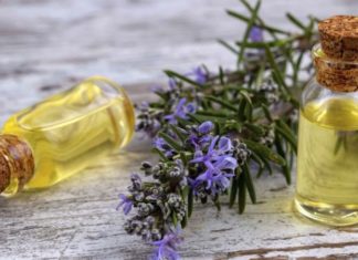Leverage Lavender to Keep Mosquitoes at Bay: 4 Easy Steps