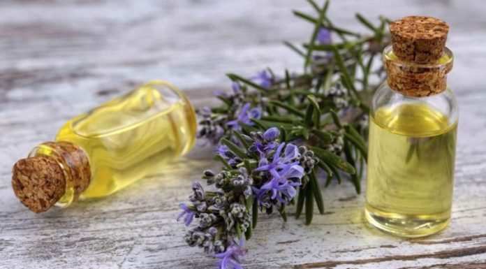Leverage Lavender to Keep Mosquitoes at Bay: 4 Easy Steps