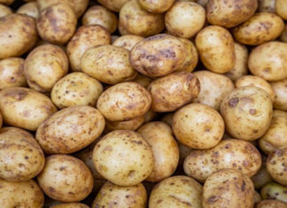 5 Reasons Why Night Owls Should Try Reducing Eye Bags with a Potato