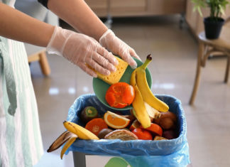 How to Cut Down Food Waste with Kids in the Home