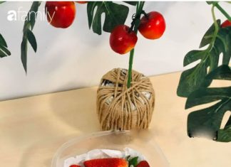 Learn from Devoted Mothers in Hanoi How to Preserve Food for Longer Freshness