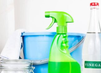 How to Get Rid of Ants Quickly using Easy Methods