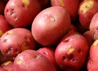 Preparing Delicious Potato Salad with a Pressure Cooker