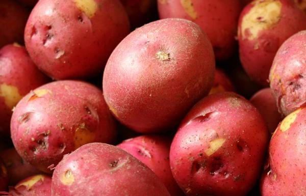Preparing Delicious Potato Salad with a Pressure Cooker